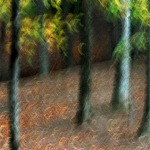 Photography -- Digital Photography