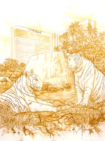 Vegas Mirage -- White Tigers